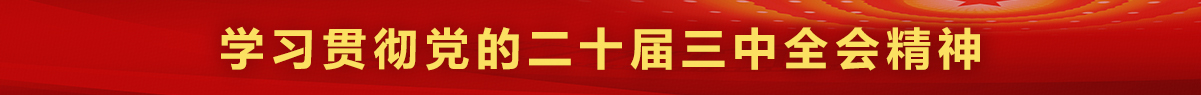 學習貫徹黨的二十屆三中全會精神